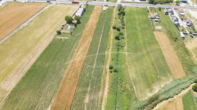 Maracineni, judetul Arges Teren cu potential de dezvoltare -7427 mp in Argeselu,