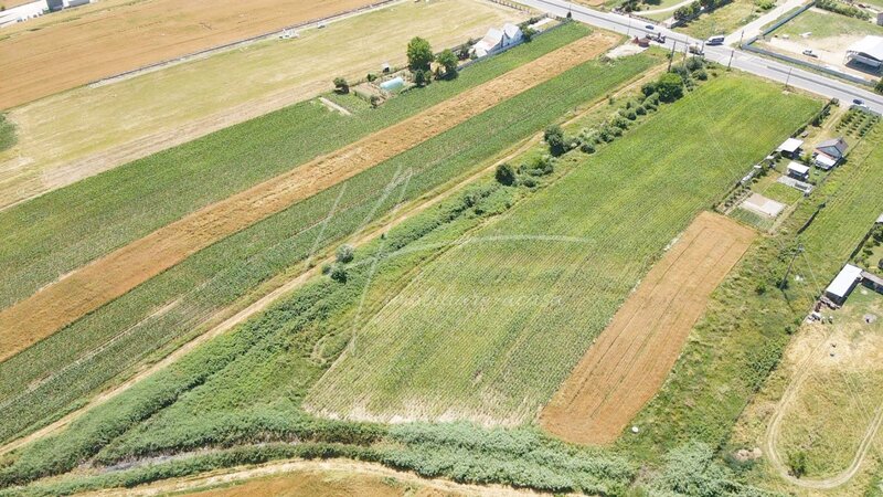Maracineni, judetul Arges Teren cu potential de dezvoltare -7427 mp in Argeselu,